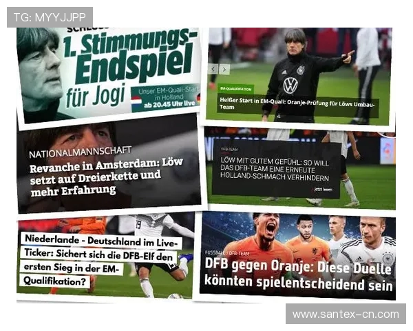 德国赞助商支持德甲球队的案例与合作模式