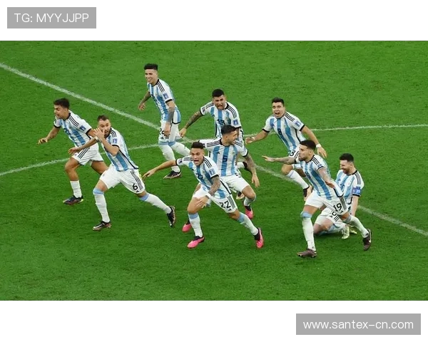 阿根廷世界杯冠军球员阵容与传奇故事全解析荣耀征程与核心风采